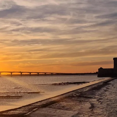 1 Bedroom Amazing In Apartment *